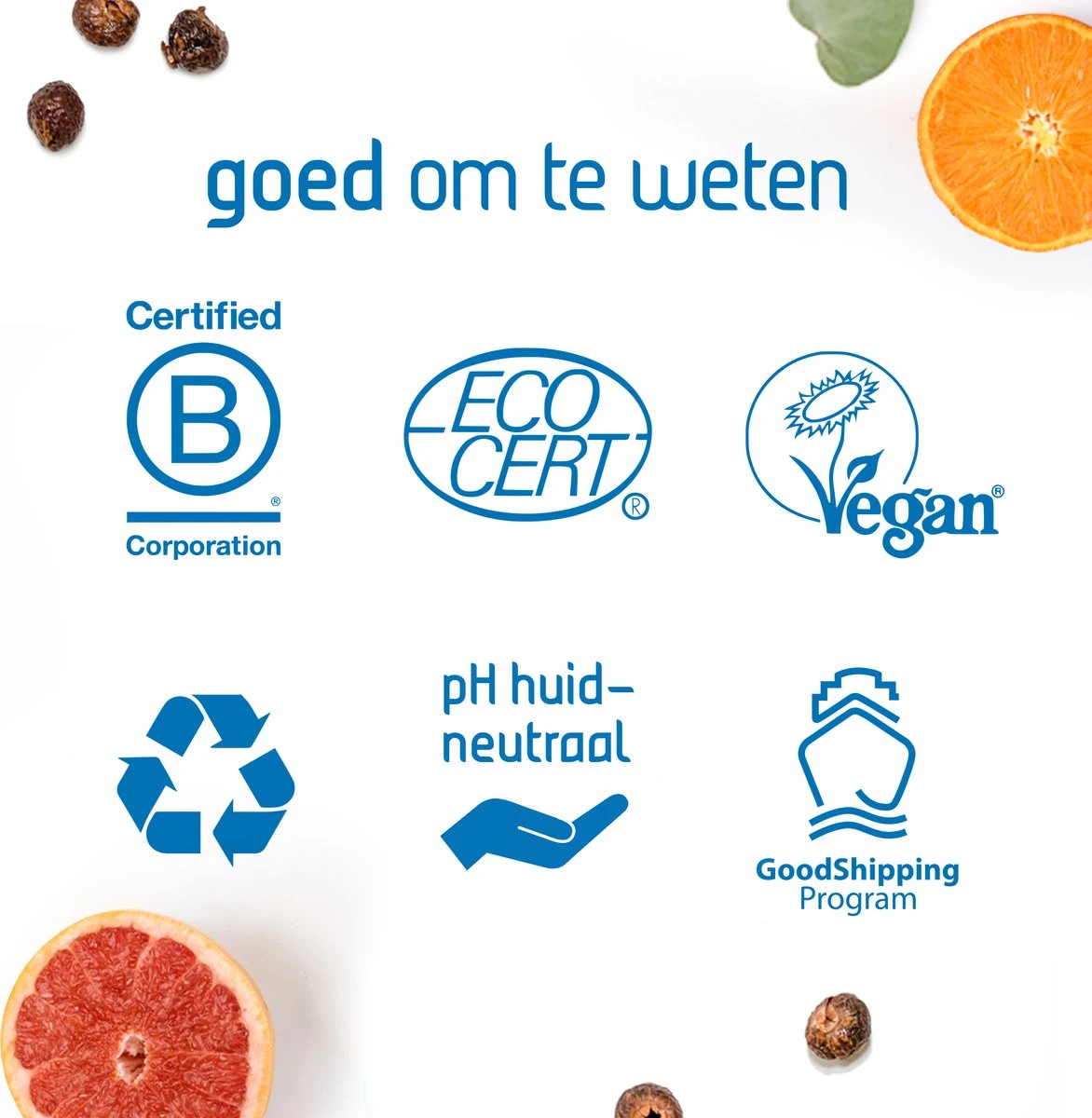 Seepje Zeepvariatie - Hand- En Lichaamszeep - Waszeep - Afwaszeep - Natuurlijke Ingredienten - 0% Plastic - Afbeelding 8