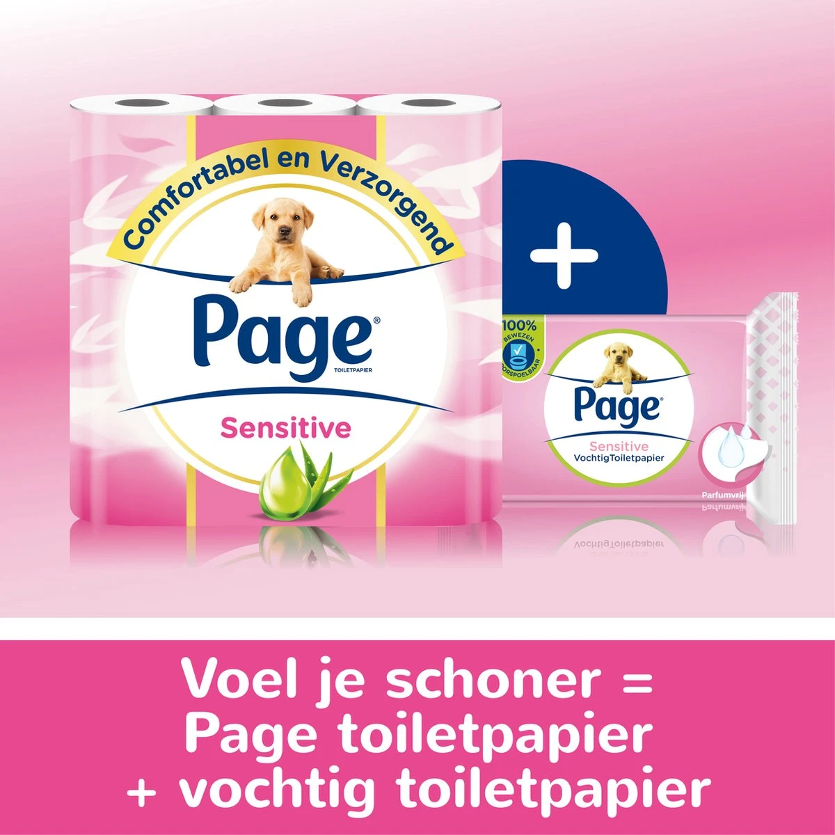Page Vochtig Toiletpapier - 12 X 38 Stuks - Sensitive Vochtig Wc Papier - Voordeelverpakking - Afbeelding 8